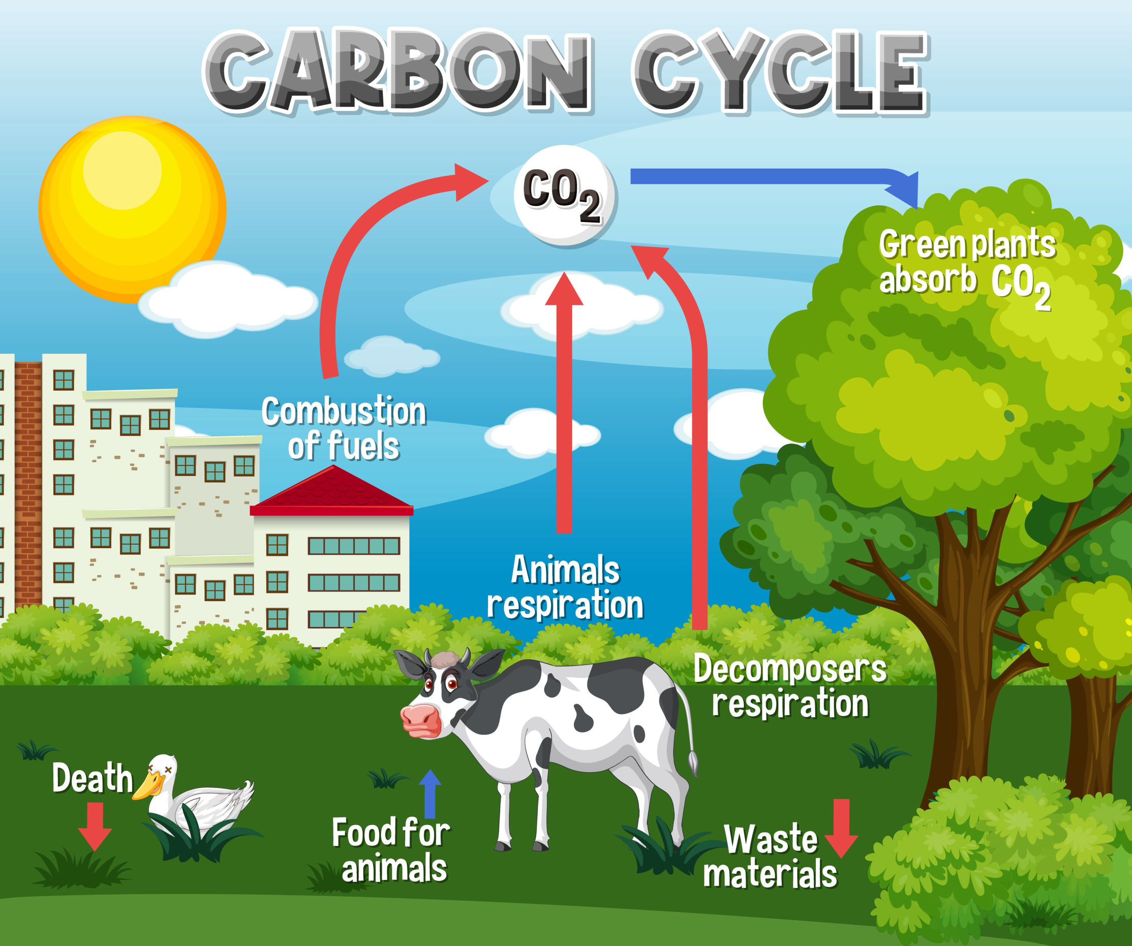 Carbon Cycle, CO2 waste, CO2 cycle